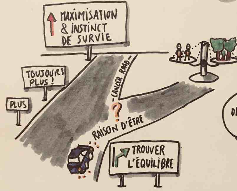 Raison d’être évolutive